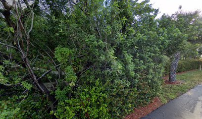 Top Coat Yacht Refinishing