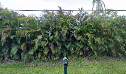 Devenport’s Marine