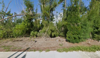 Positive Connection of SW Fl